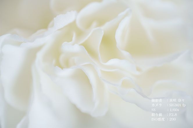 【Lマウント用】SIGMA 105mm F2.8 DG DN MACRO｜Art