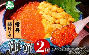 3402. 2種 海鮮丼 鱒 いくら醤油漬け 100g×5 約5-6人前 ウニ チリ産 雲丹 うに 100g×2 セット いくら イクラ いくら醤油 魚卵 ます マス 海鮮 送料無料 北海道 弟子屈町