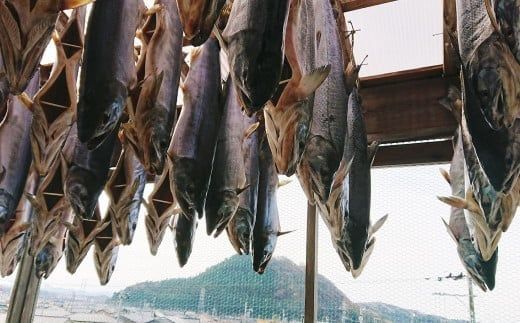 「伝統の鮭料理」 鮭の酒びたし・氷頭せんべい セット 各1箱 計110g 鮭 しゃけ おつまみ 1074007