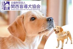 盲導犬 訓練 支援寄附 記念品［陶器のクイール（成犬）・タオル2枚セット・エコバッグ など盲導犬協会オリジナルグッズ］「行きたい場所に安心していける社会に…」補助犬（100,000円）