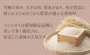 愛知県産コシヒカリ 5㎏ ※定期便6回 こめ コメ ごはん 安心安全なヤマトライス 米 白米 国産 精米 5キロ H074-697