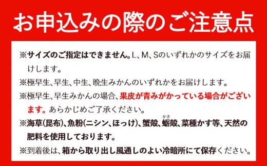 みかん 田村みかん 特選 ギフト 3kg サイズ指定なし 株式会社とち亀物産《11月下旬-1月中旬頃出荷予定(土日祝除く)》和歌山県 日高町 フルーツ くだもの 果物 柑橘 旬 ノーワックス 送料無料 紀伊国屋文左衛門本舗 贈答用---wsh_tkttmk_h111_22_14000_3kg---