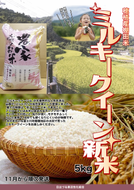 【新米】【数量限定】令和６年産棚田米「ミルキークイーン」５ｋｇ　お米 米 コメ ミルキークイーン 新米 穂積 山梨 富士川町