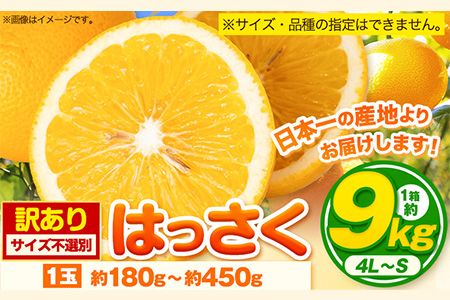 [訳あり/ご家庭用] はっさく 約9kg (4L~Sサイズ) サイズ不選別 早生 晩生指定不可[2024年2月上旬-4月中旬頃出荷]和歌山県 紀の川市 産地直送 みかん 八朔 柑橘 果物 フルーツ ご家庭用 ビタミンC たっぷり 9000円---wfn_wlocal8_2j4c_24_9000_9kg---