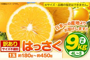 【訳あり/ご家庭用】 はっさく 約9kg (4L~Sサイズ) サイズ不選別 早生 晩生指定不可《2026年2月上旬-3月中旬頃出荷》和歌山県 紀の川市 産地直送 みかん 八朔 柑橘 果物 フルーツ ご家庭用 ビタミンC たっぷり---wfn_wlocal105_2j3c_25_10000_9kg---