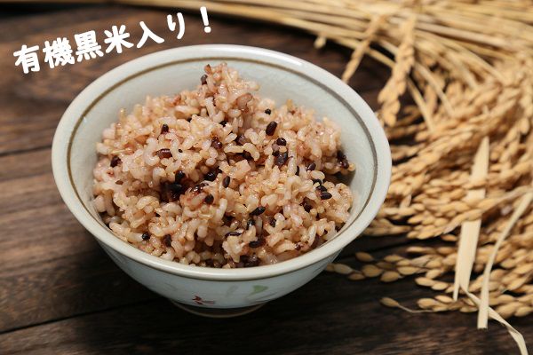 yR`cSz ʍ͔| pbN͂ 24 L@ē N _CGbg ~ ۑH h ȒPW ߂邾 