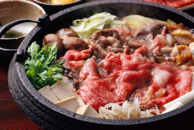 訳あり 博多和牛 A4以上 しゃぶしゃぶ すき焼き スライス 250g & 切り落とし 500g 計750g【部位おまかせ】/ MEAT PLUS / 福岡県 筑紫野市 [21760211] 牛肉 和牛 黒毛和牛 冷凍