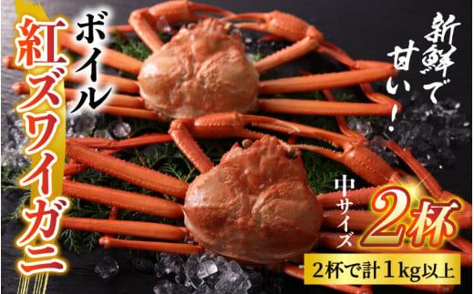 [先行予約]ボイル紅ズワイガニ 冷蔵配送[川村水産]※発送前に在宅確認の電話連絡をいたします![25年度9月下旬以降順次配送]