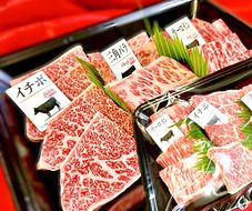 A5等級未経産雌牛　特選近江牛おすすめ部位　焼肉3種盛り　600ｇ【FO30U】