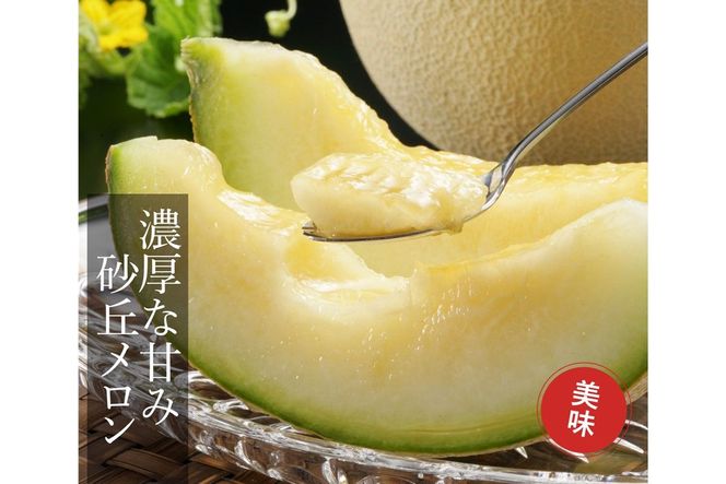 糖度15度以上！京丹後砂丘メロン2玉入り　（2Ｌサイズ以上）／北畿水産(2026年6月下旬～発送) 国産 2玉 フルーツ 果物 メロン 砂丘メロン 甘い 糖度 京都 ふるさと納税 フルーツ ふるーつ くだもの ご当地メロン めろん 生産者応援 農家応援　HK00275
