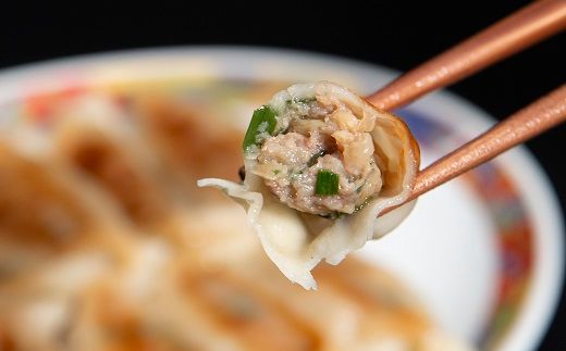 【1-176】松阪牛餃子と松阪牛肉まん