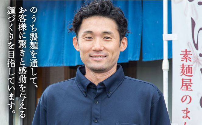 【12回定期便】五彩麺 セット 40束 / そうめん 素麺 黒ごま 梅 うに よもぎ / 麺 乾麺 食べ比べ 詰め合わせ カラフル / 南島原市 / のうち製麺 [SAF029]