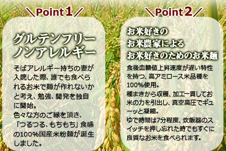 ＜高鍋の米粉麺「米仙人」 120g×10玉＞翌月末迄に順次出荷します【c893_tr_x2】