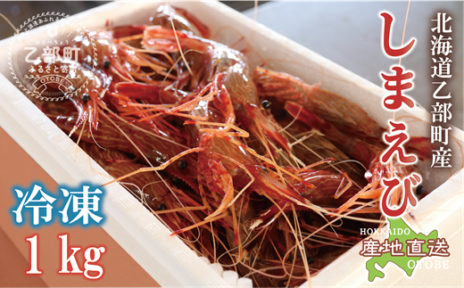 ＜シマエビ(冷凍)　1kg＞甘く濃厚な味わい！ 北海道 道産 国産 乙部町産 しまえび 海老 日本海 天然 魚介類 新鮮 希少 お刺身 エビチリ 漁師直送 産地直送 送料無料