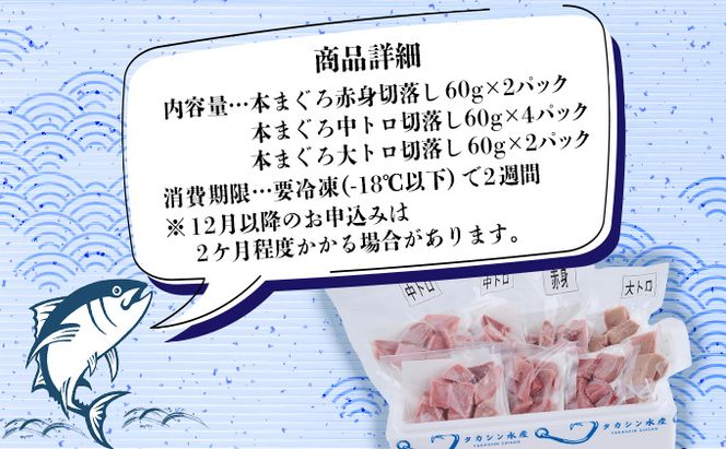  天然本まぐろ 大トロ 中トロ 赤身 《 食べ比べ 》【ぼっちりパック】 合計480g(60g×8パック )  天然まぐろ 本マグロ まぐろ マグロ 鮪 大とろ 中とろ 切り落とし 刺身 魚介類 海鮮 魚 海産物 魚貝 高知県 小分け 大とろ 簡単 調理 惣菜 訳あり 不揃い 冷凍 送料無料 室戸 mgr tk037