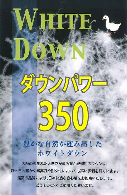 AA083 羽毛肌掛け布団（抗ウイルス・抗菌加工）　シングル　ホワイトダウン８５％　羽毛布団