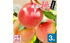 【2026年発送★先行予約】厳選!!池田青果の桃　3kg　8～13玉 173-005-26y