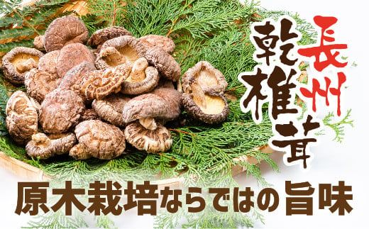 yRRszE094 BőXCX28g×3