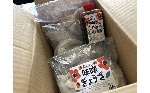 お試しセット 居酒屋のおかあちゃん手作り ひと口味噌ぎょうざ 30個(15個×2袋) H136-034