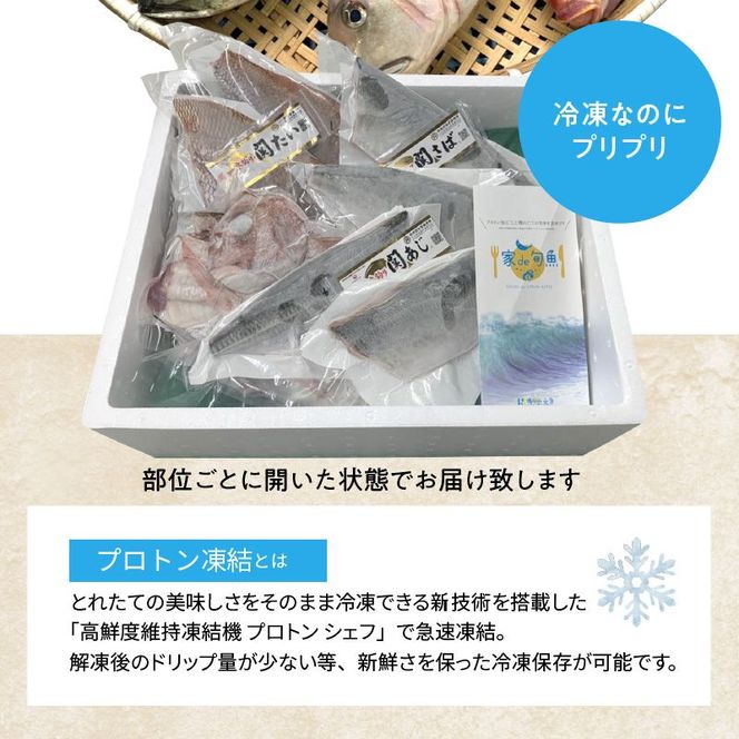 【E04025】佐賀関産　朝獲れ鮮魚　おまかせ詰め合わせ　約2kg