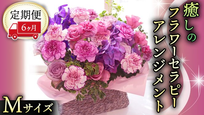 y錧}szy 6  z   t[ Zs[ AWg MTCY   ͂ AW bNX tbV XgX [CT124ci]