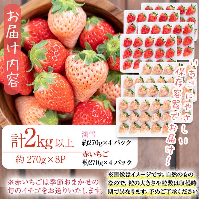 〈先行予約受付中！〉鹿児島県産いちご！志布志発祥白いちご「淡雪」4Pと季節おまかせ赤いちご4Pセット(計2kg・約270g×8P) c0-015