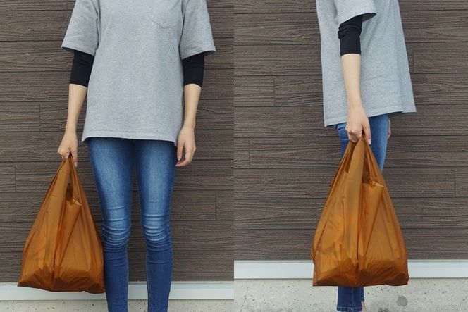 [R305] oxtos CORDURA エコバッグ【オータムリーフ】