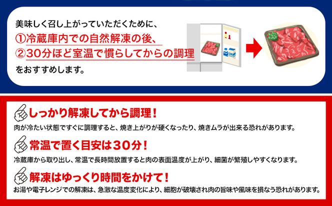 牛肉 黒毛和牛 切り落とし 500g ～ 3kg 《30日以内に出荷予定(土日祝除く)》 岡山県 矢掛町 牛 牛肉 和牛 牛丼 カレー 小分け 小分けパック 250g 送料無料---ofn_fokw_30d_24_9000_5---