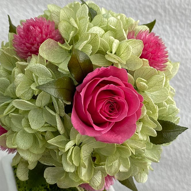 AJ185-1 プリザーブドフラワー【プティシュシュ/ピンク】春日部市 シュガーパイン