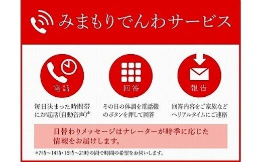 郵便局のみまもりサービス「みまもりでんわサービス」（固定電話、3カ月間） 011010