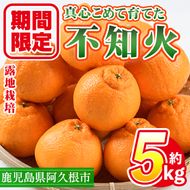 ＜先行予約受付中！2026年3月上旬以降順次発送予定＞数量限定！鹿児島県産 露地栽培の不知火(計約5kg：大将季) 国産 みかん ミカン 柑橘 フルーツ 果物 旬 デザート 数量限定 期間限定 露地 阿久根市産 しらぬい シラヌイ【三笠農業生産】akn051-10