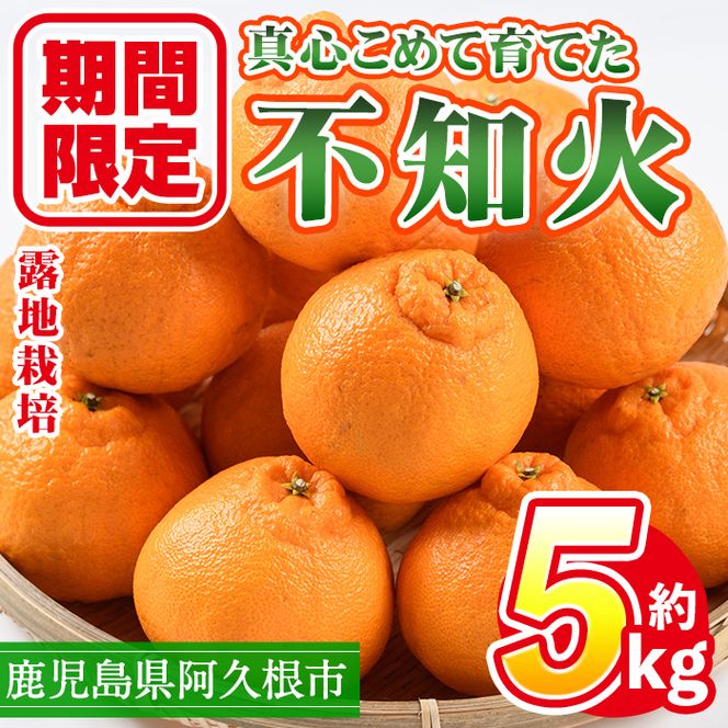 yvszs\tI2026N3{ȍ~\聄ʌIY In͔|̕sm(v5kgF叫G) Y ݂ ~J k t[c ʕ { fU[g ʌ Ԍ In vsY ʂ VkCyO}_ƐYzakn051-10