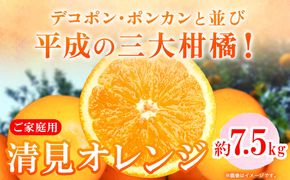 ＜先行予約＞【ご家庭用訳アリ】 紀州有田産清見オレンジ 7.5kg 株式会社魚鶴商店《2025年3月上旬-4月上旬頃出荷》 和歌山県 オレンジ 柑橘 ご家庭用---wsh_utr10_ad34_23_16000_7500g---