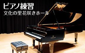 ピアノ練習  文化の里花咲きホール半日使用 [No.394]