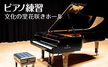ピアノ練習  文化の里花咲きホール半日使用 [No.394]