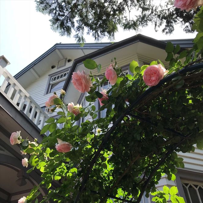 159-2009-12　大磯迎賓舘　一軒家貸切パーティー　半日プラン【 神奈川県 大磯町 】