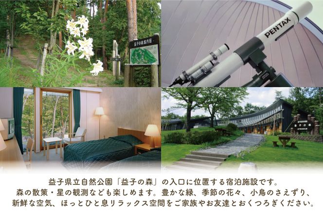 AP001 宿泊チケット　旅行　素泊まり　2名様