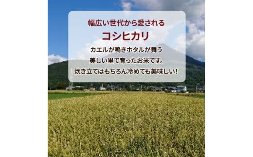 令和7年産 特A※評価地区 筑波山麓ホタルの里厳選米コシヒカリ15kg　透き通った大粒米 ※離島への配送不可