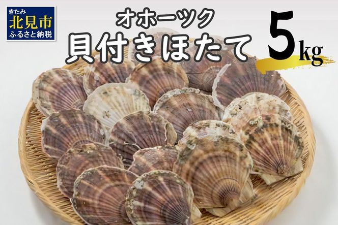ykCkszIz[cNLtق 5kg(30`50)( CN   L L z^e ق  kt L  Mtg 蕨  j BBQ o[xL[ )y031-0013z