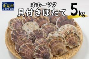 【予約：2024年3月下旬から順次発送】オホーツク貝付きほたて 5kg(30枚～50枚)( 海鮮 魚介 魚介類 貝 貝類 ホタテ ほたて 帆立 殻付き 貝柱 贈答 ギフト 贈り物 お中元 お祝い BBQ バーベキュー )【031-0011-2024】