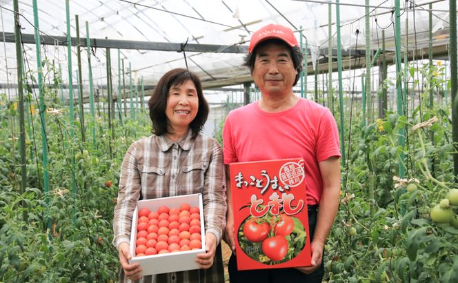 まっことうまい！水田さんのフルーツトマト【約２kg×2箱 / 化粧箱入】