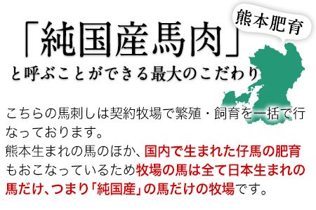 手作りハン馬ーグ 100g×10個 馬肉100%配合！【熊本肥育】ハンバーグ たっぷり 冷凍 お中元 肉 お手軽 お取り寄せ《30日以内に出荷予定(土日祝除く)》---hkw_lcl_36_10k---