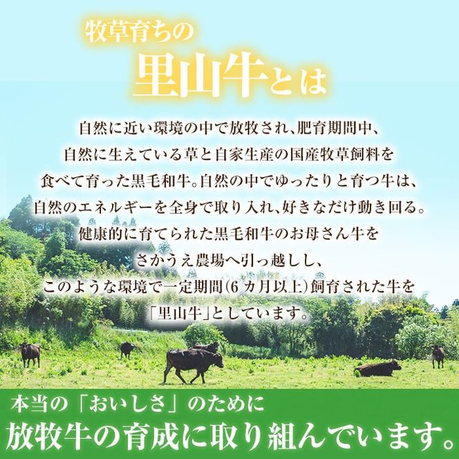 国産黒毛和牛 牧草育ちの里山牛 ローストビーフ用ブロック肉計1kg(500g×2パック) c5-027