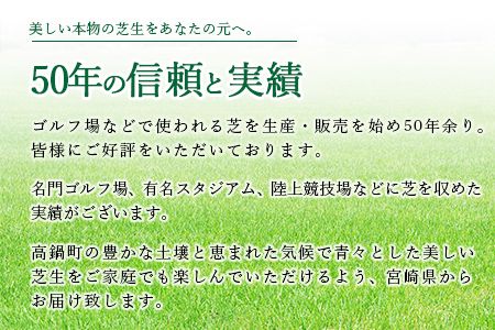 ＜姫高麗芝 2平方メートル＞2か月以内に順次出荷【c620_hg_x2】