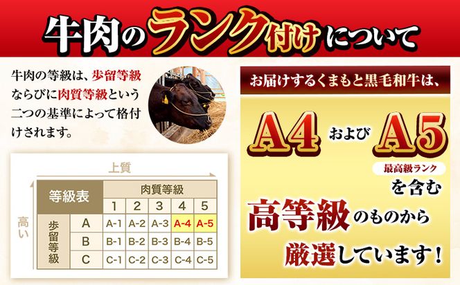 くまもと黒毛和牛 ウデ・モモスライス 500g ～ 2000g 牛肉 冷凍 《30日以内に出荷予定(土日祝除く)》 くまもと黒毛和牛 黒毛和牛 冷凍庫 個別 取分け 小分け 個包装 モモ スライス 肉 お肉 しゃぶしゃぶ肉 すきやき肉 すき焼き---mna_fudmm_30d_24_8500_500g---