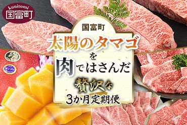 親鶏の脂がおいしい つみれ 合計108玉（12個入り×9袋）＞翌月末迄に