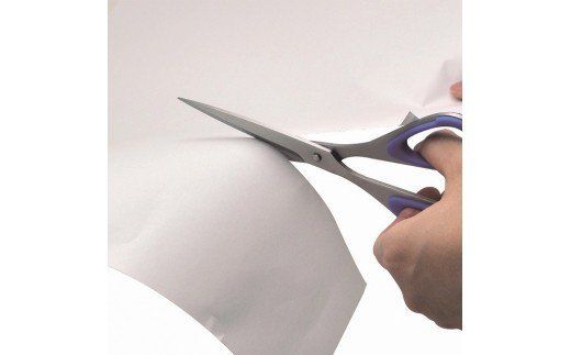 左利き用事務用ハサミ （ESR-175L） ～工作 文具 左手用はさみ 切れ味 文房具 ハンドル 取り外し シンプル 剣先 リサイクル オールステンレス 食品工場で多く使用実績あり 関市 岐阜県 長谷川刃物 CANARY メーカー直送～