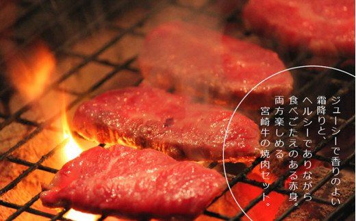 宮崎牛！霜降りと赤身の焼肉セット(合計900g・ウデ焼肉カット500g、モモ焼肉カット400g)牛肉 お肉 黒毛和牛 国産 九州産 宮崎県産 詰め合わせ 詰合せ 食べ比べ 冷凍【AP-15】【日向屋】