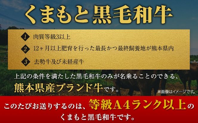 くまもと黒毛和牛 ウデ・モモスライス 500g ～ 2000g 牛肉 冷凍 《30日以内に出荷予定(土日祝除く)》 くまもと黒毛和牛 黒毛和牛 冷凍庫 個別 取分け 小分け 個包装 モモ スライス 肉 お肉 しゃぶしゃぶ肉 すきやき肉 すき焼き---mna_fudmm_30d_24_8500_500g---