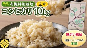 選べる内容量 / 令和6年産 茨城県産 コシヒカリ (精米 5kg 選べる内容量 / 令和6年産 茨城県産 コシヒカリ (精米 5kg